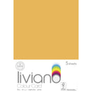 Liviano Light Card A3 180gsm Pack of 5