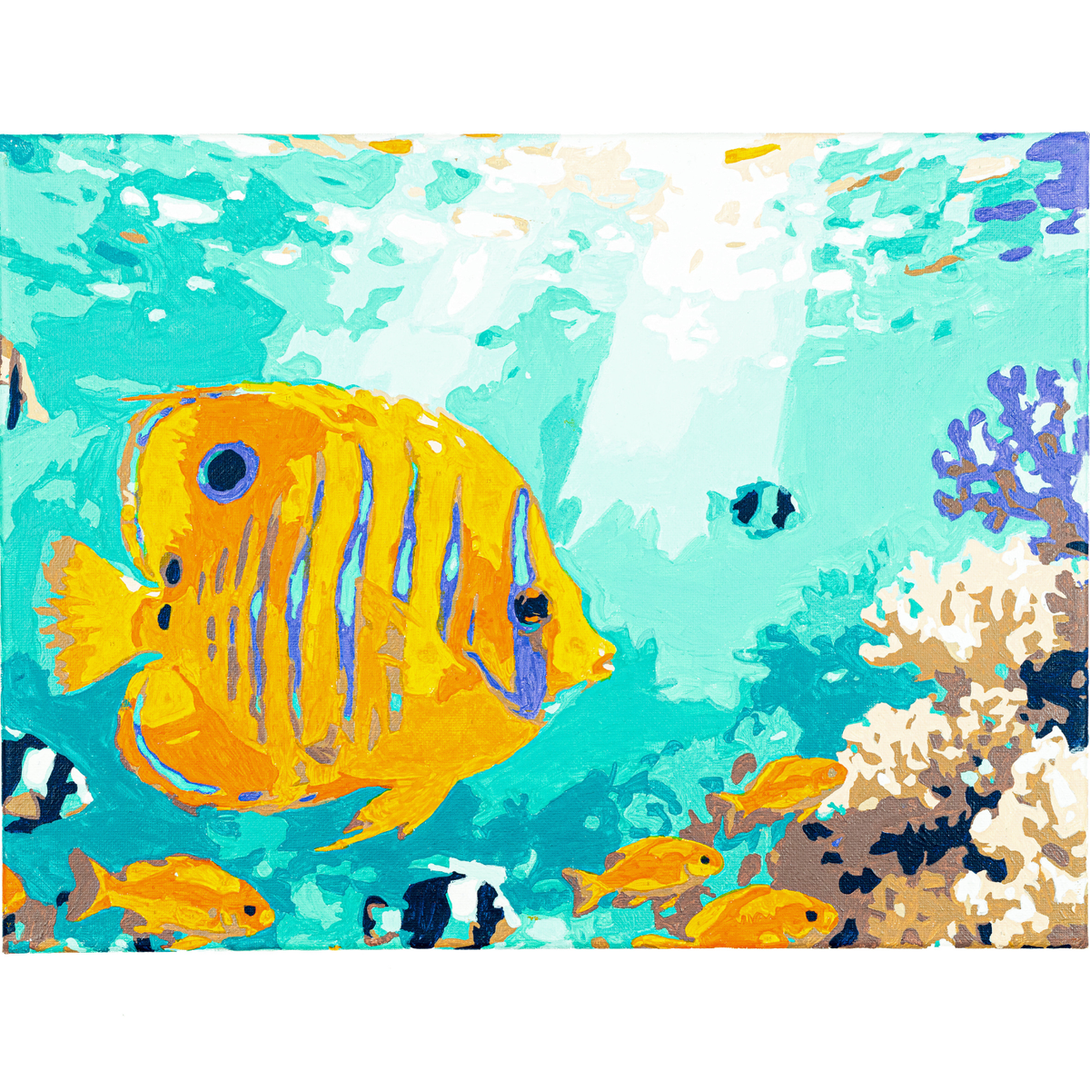 Byron Paint By Numbers Set - Reef 300 x 400mm