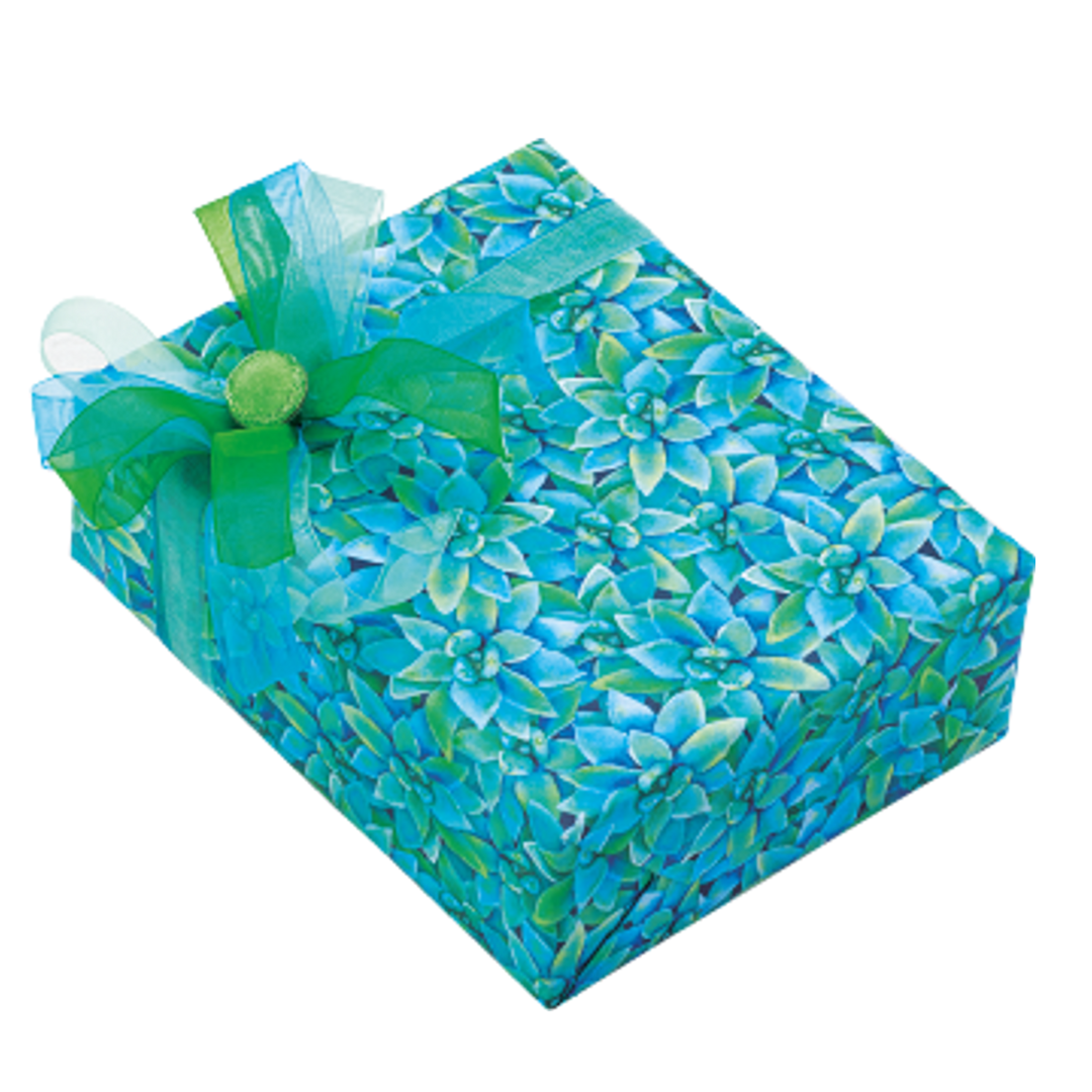 Gift Wrapping Paper 24 sheets - Succulents