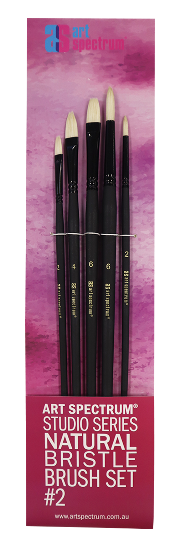 Art Spectrum Studio Natural Bristle Brush Set No.2