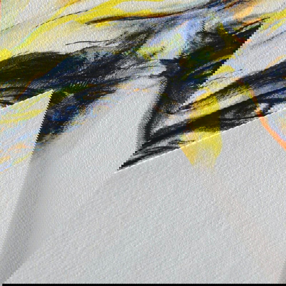 Canson Prof Book 180 Pro CA Grain Portrait 50sht A5 image 2