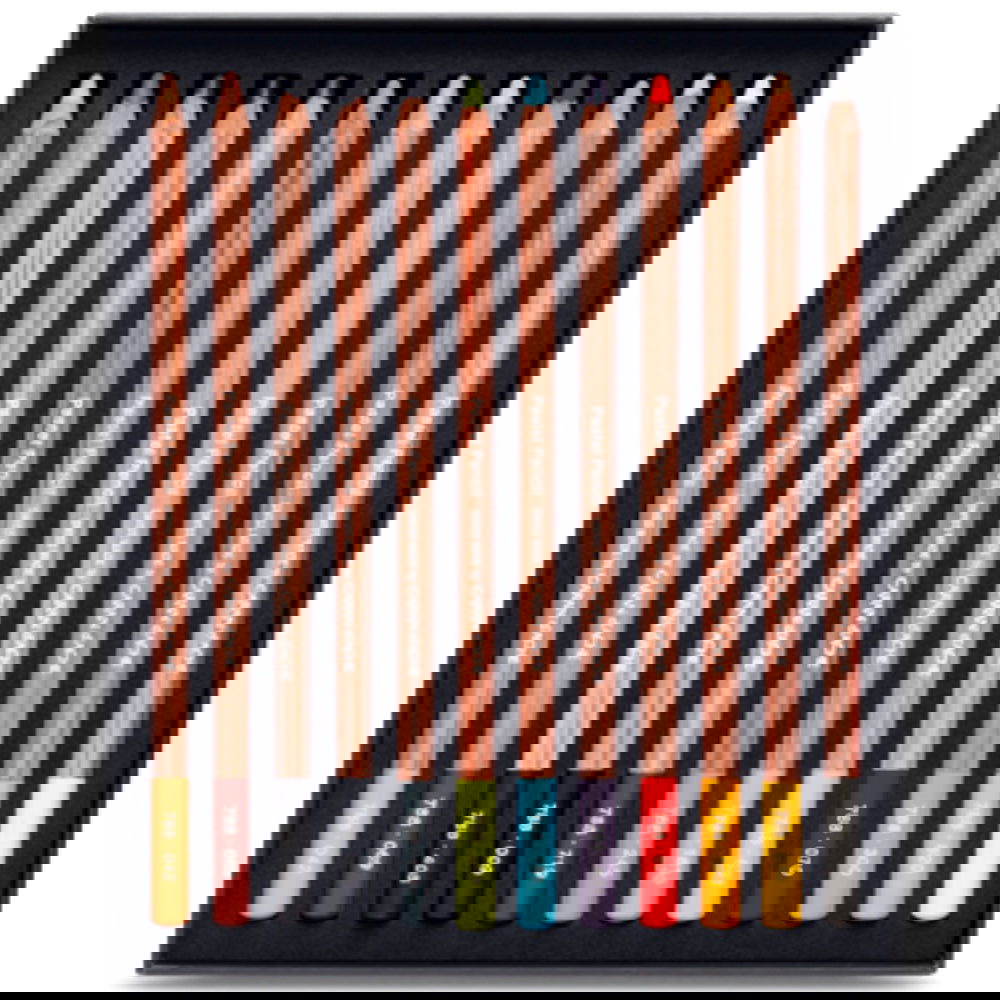 Caran DAche Pastel Pencils Assorted box of 12