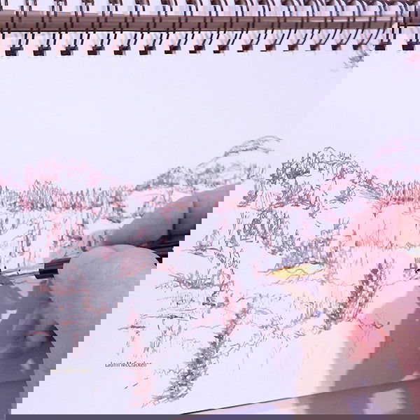 Daniel Smith Walnut Ink 59ml