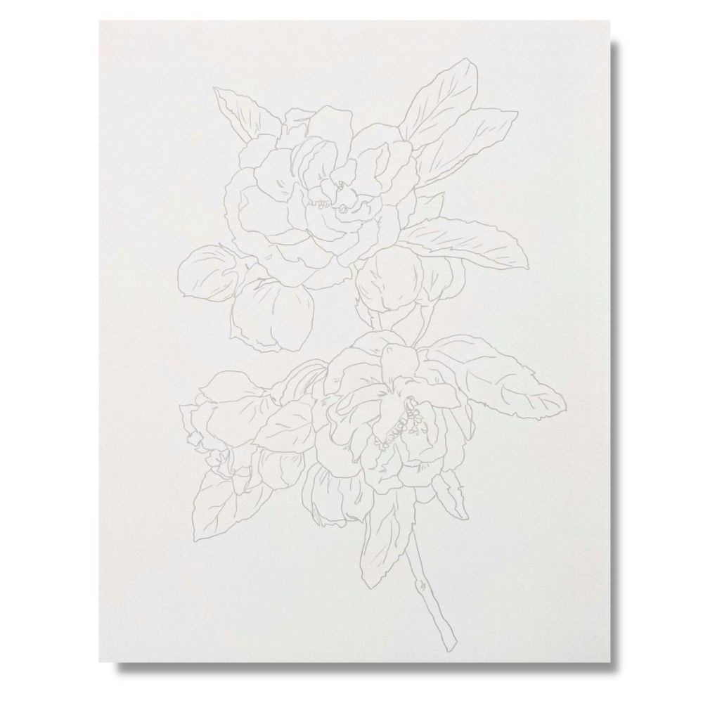 Clairefontaine Watercolour Learning Pad 24x30cm Botanical image 5