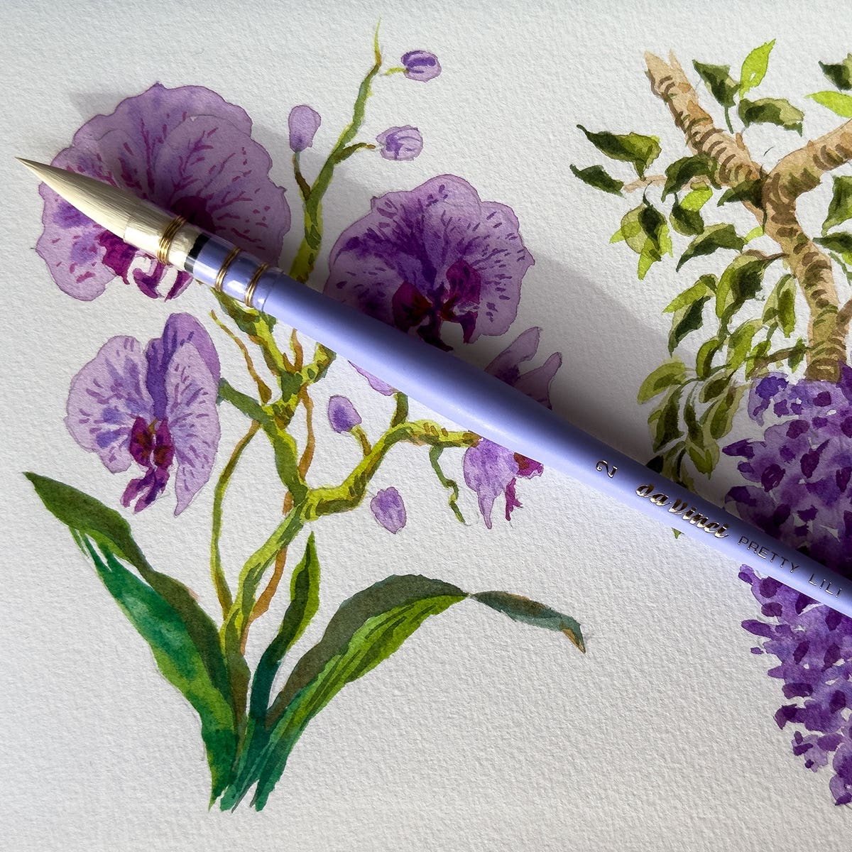 Da Vinci Pretty Lili Watercolour Brush