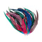 Zart Cocktail Feathers Pkt 18 Assorted