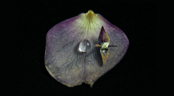 Origami for Creative Fitness with Michael Lai