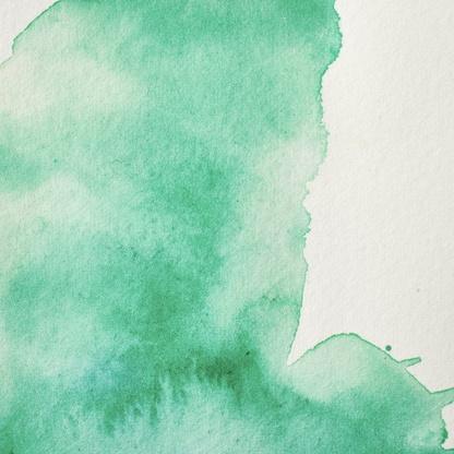 Winsor and Newton Professional Watercolour 5ml