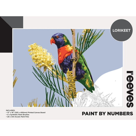 Reeves Paint By Numbers 12x16 inch - Lorikeet Default Title