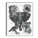 Book - Art of Painting and Drawing Animals