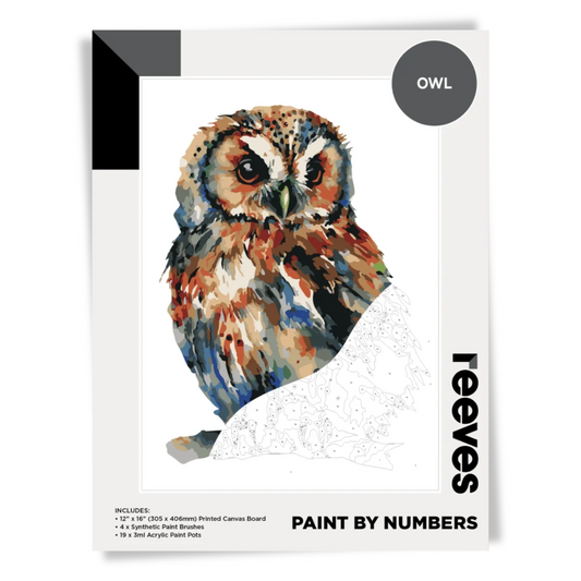 Reeves Paint By Numbers 12x16 inch - Owl Default Title