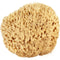 Ocean Sea Sponge Wool 5-6 inch