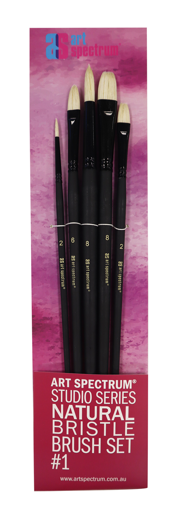 Art Spectrum Studio Natural Bristle Brush Set No.1