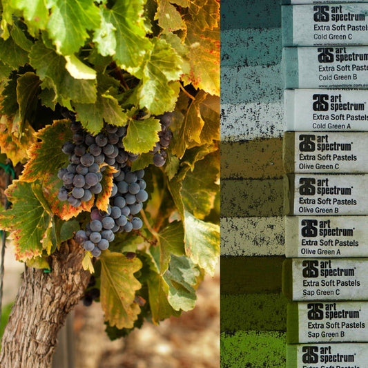 AS Extra Soft Square Pastels Box of 10 - Greens Default Title