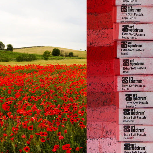 AS Extra Soft Square Pastels Box of 10 - Reds Default Title