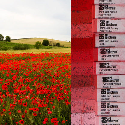 AS Extra Soft Square Pastels Box of 10 - Reds image 1