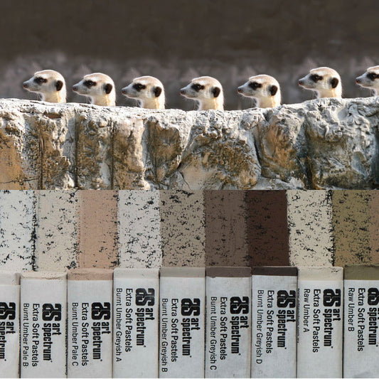 AS Extra Soft Square Pastels Box of 10 - Umber Earths Default Title