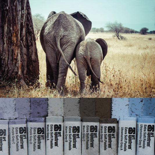 AS Extra Soft Square Pastels Box of 10 - Warm Greys Default Title