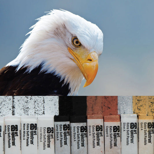 AS Extra Soft Square Pastels Box of 10 - Blacks, Whites and Metallics Default Title