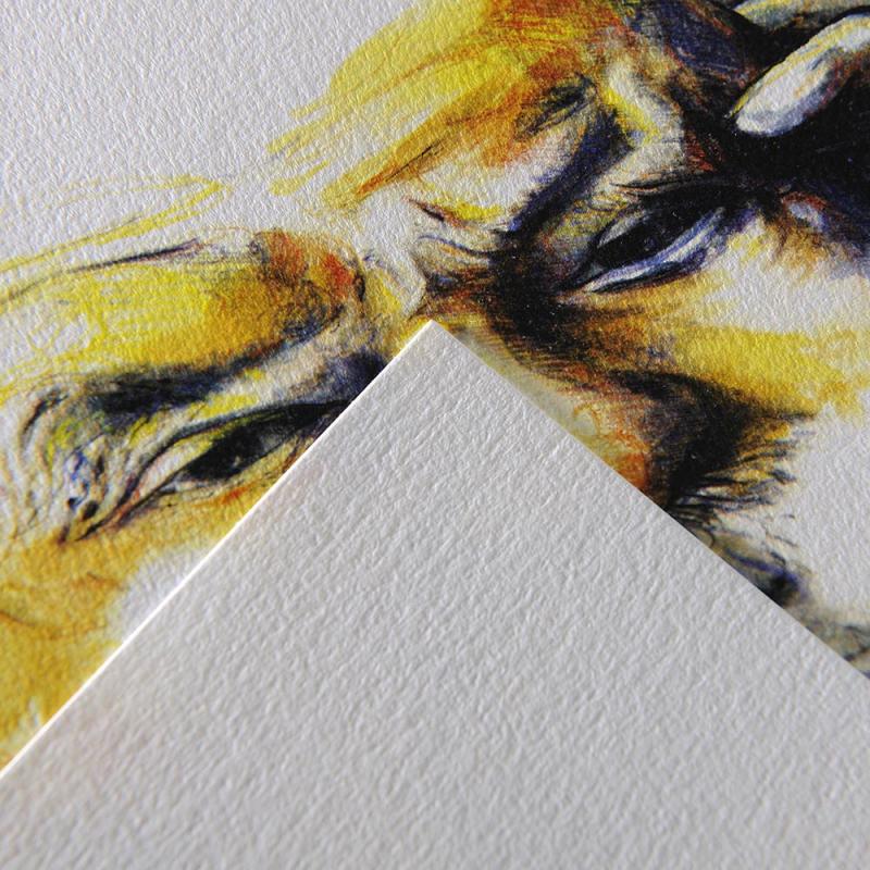 Canson CA Grain 224 Pad White 25 sheets A2