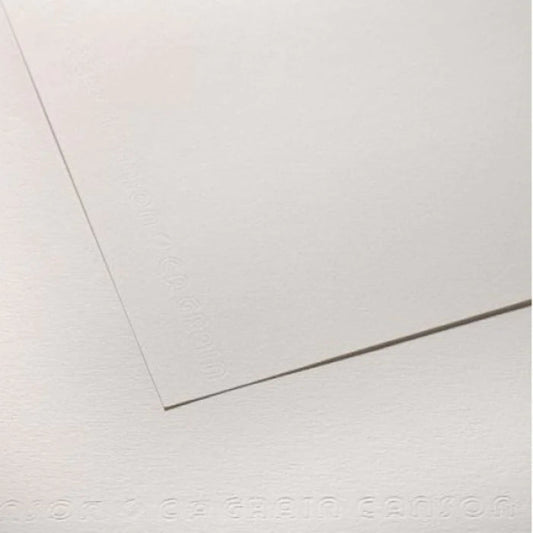 Canson CA Grain 224 Paper Sheet