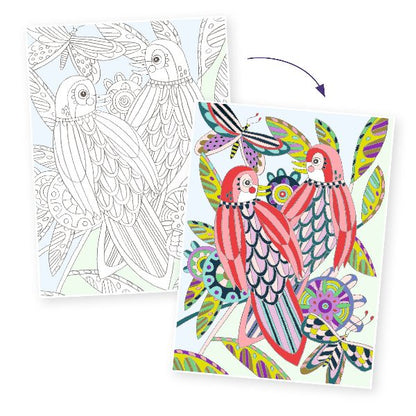Djeco Colouring Gallery - Birds