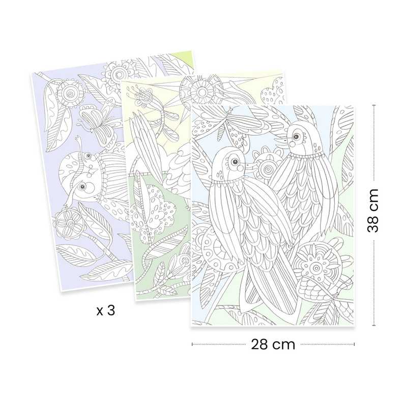Djeco Colouring Gallery - Birds