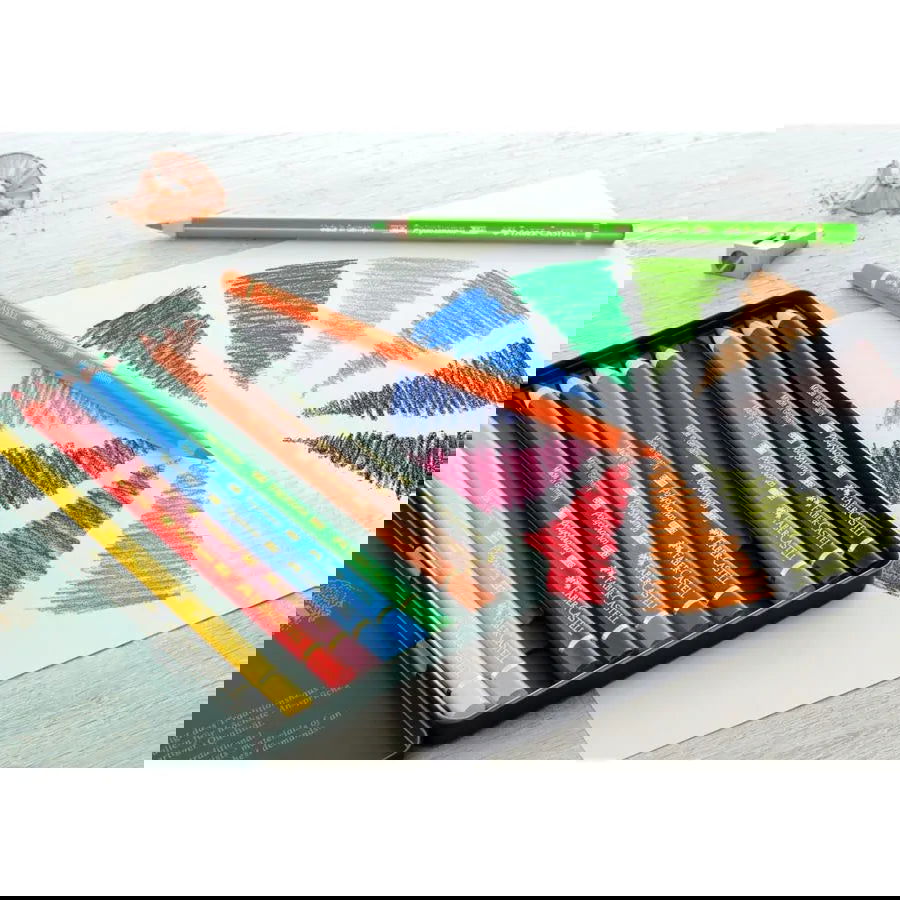 Faber-Castell Polychromos Pencils Assorted Tin of 12