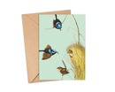 Ikonink Gift Card - Fairy Wren