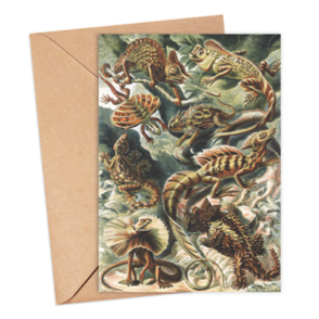 Ikonink Gift Card - Lizards