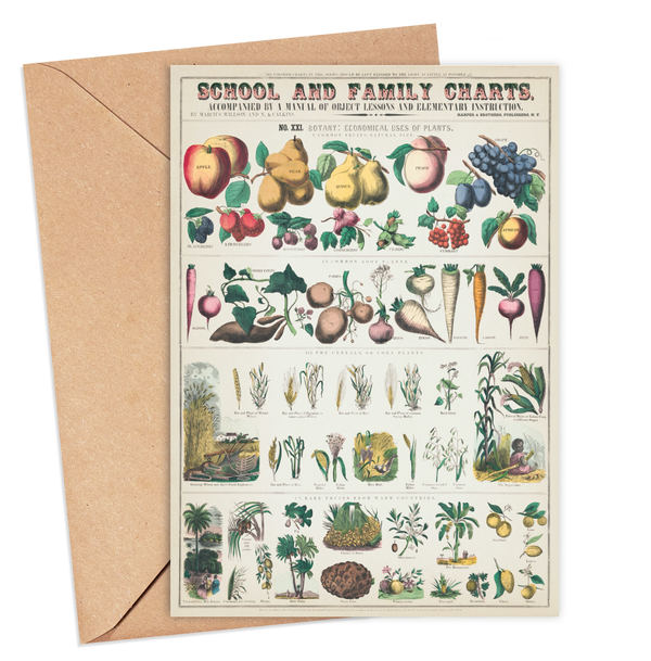 Ikonink Gift Card - Fruits and Vegetables