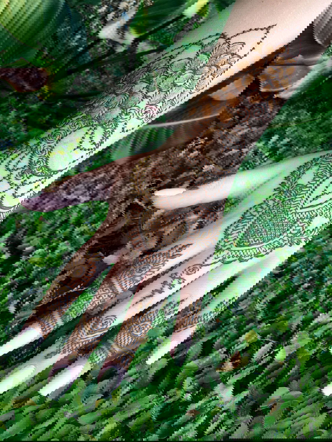 Jacquard Mehndi Henna Kit