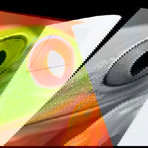 Lineco Infinity Photo Tabs Pkt 230