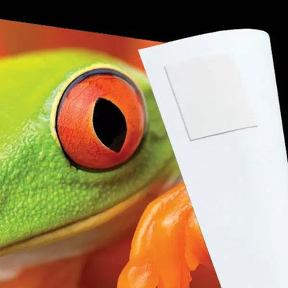 Lineco Infinity Photo Tabs Pkt 230