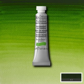 Winsor and Newton Professional Watercolour 5ml S1 Permanent Sap Green