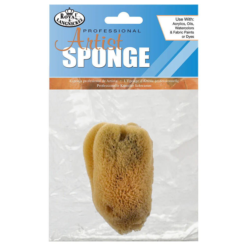Ocean Sea Sponge Silk 3-3.5 inch Default Title