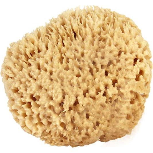 Ocean Sea Sponge Wool 5-6 inch Default Title
