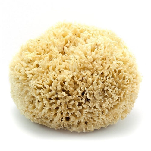Ocean Sea Sponge Wool 5 inch Default Title
