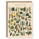 Pattern Book Gift Card - Simple Leaves