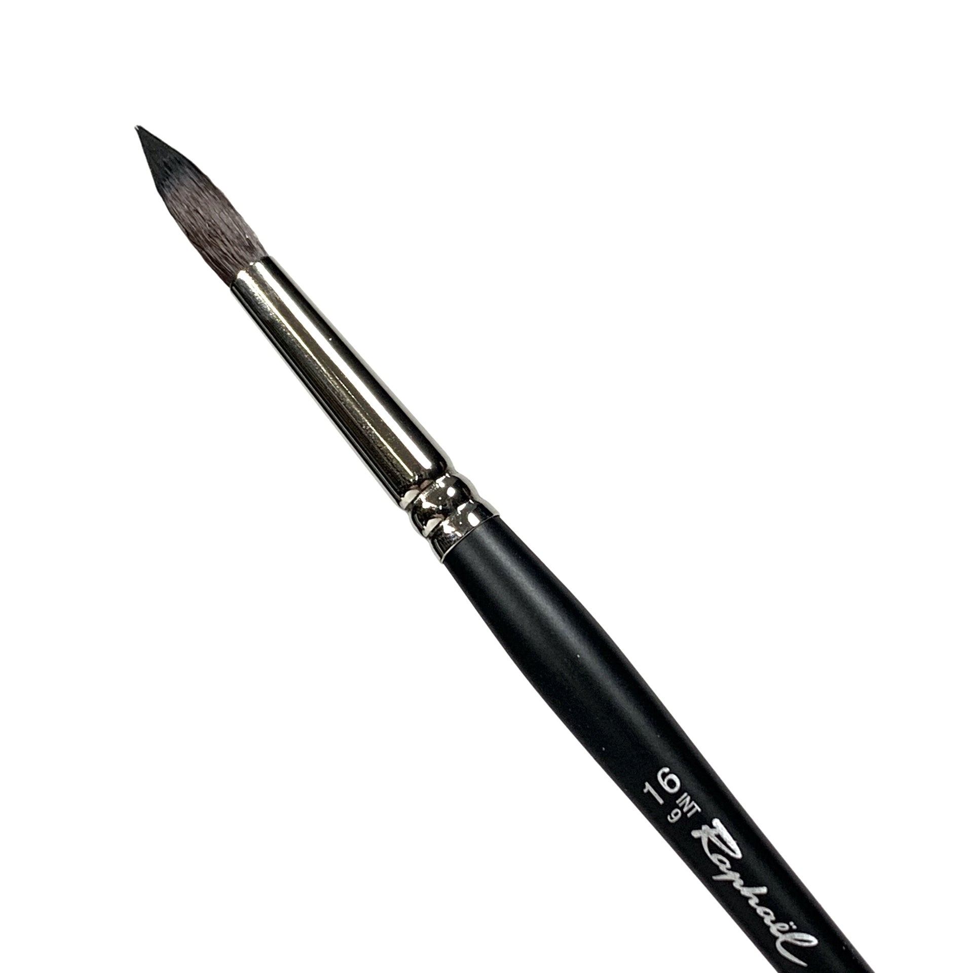 Pinceau - Lavis - Aquarelle - Softaqua - Petit-gris - Série 805 - N°8 - Raphaël - Bonne affaire Pinceau - Lavis - Aquarelle - Softaqua - Petit-gris - Série 805 - N°8 - Raphaël - Bonne affaire