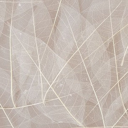 Zart Skeleton Leaves Pkt 100 Default Title