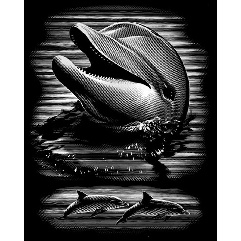Reeves Mini Scraperfoil - Silver Dolphin