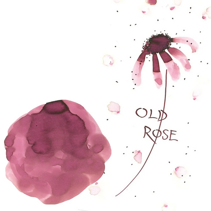 ZIG Ink Cafe Art Nouveau Ink 20ml Old Rose