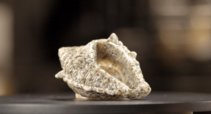 Reslin Biodegradable Set 750g image 8