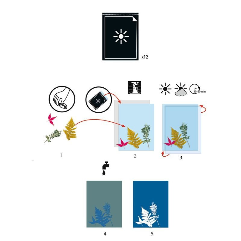 Djeco - Cyanotype Paper