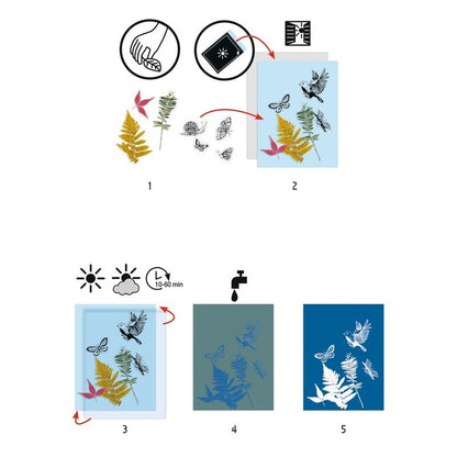 Djeco - Cyanotype Starter Kit image 5