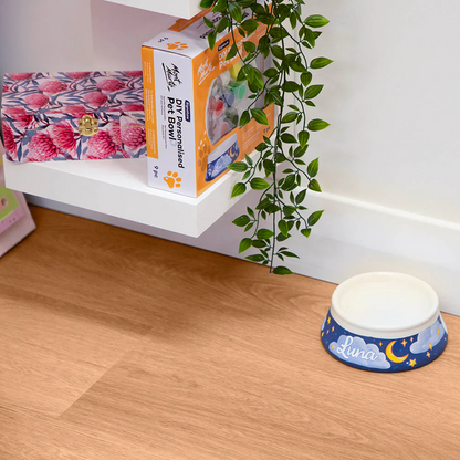 Mont Marte DIY Personalised Pet Bowl 9pc
