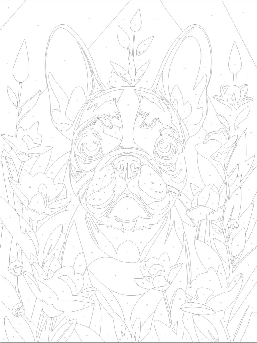 Byron Paint by Numbers Canvas - Frenchie