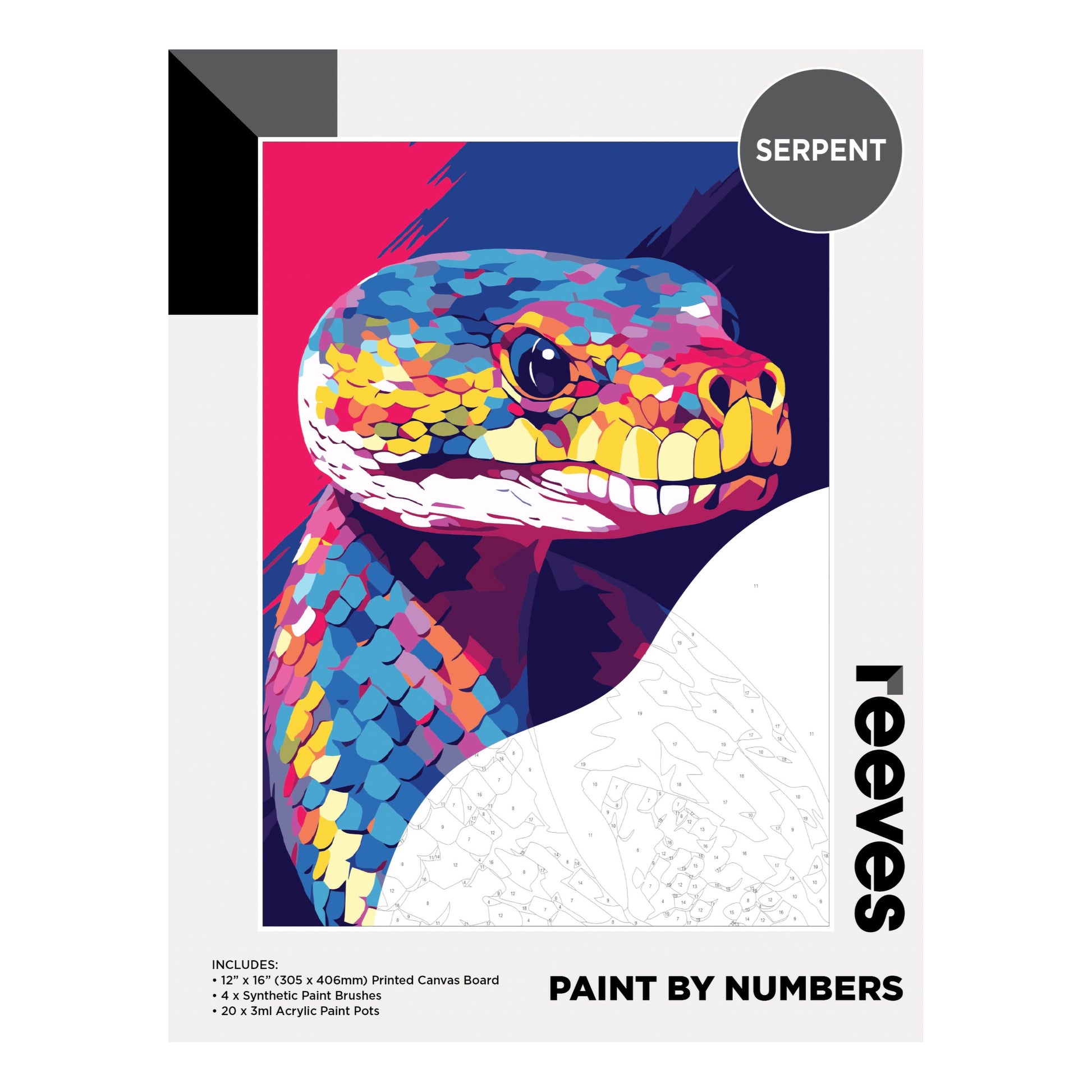 Reeves Paint By Numbers 12x16 inch - Serpent