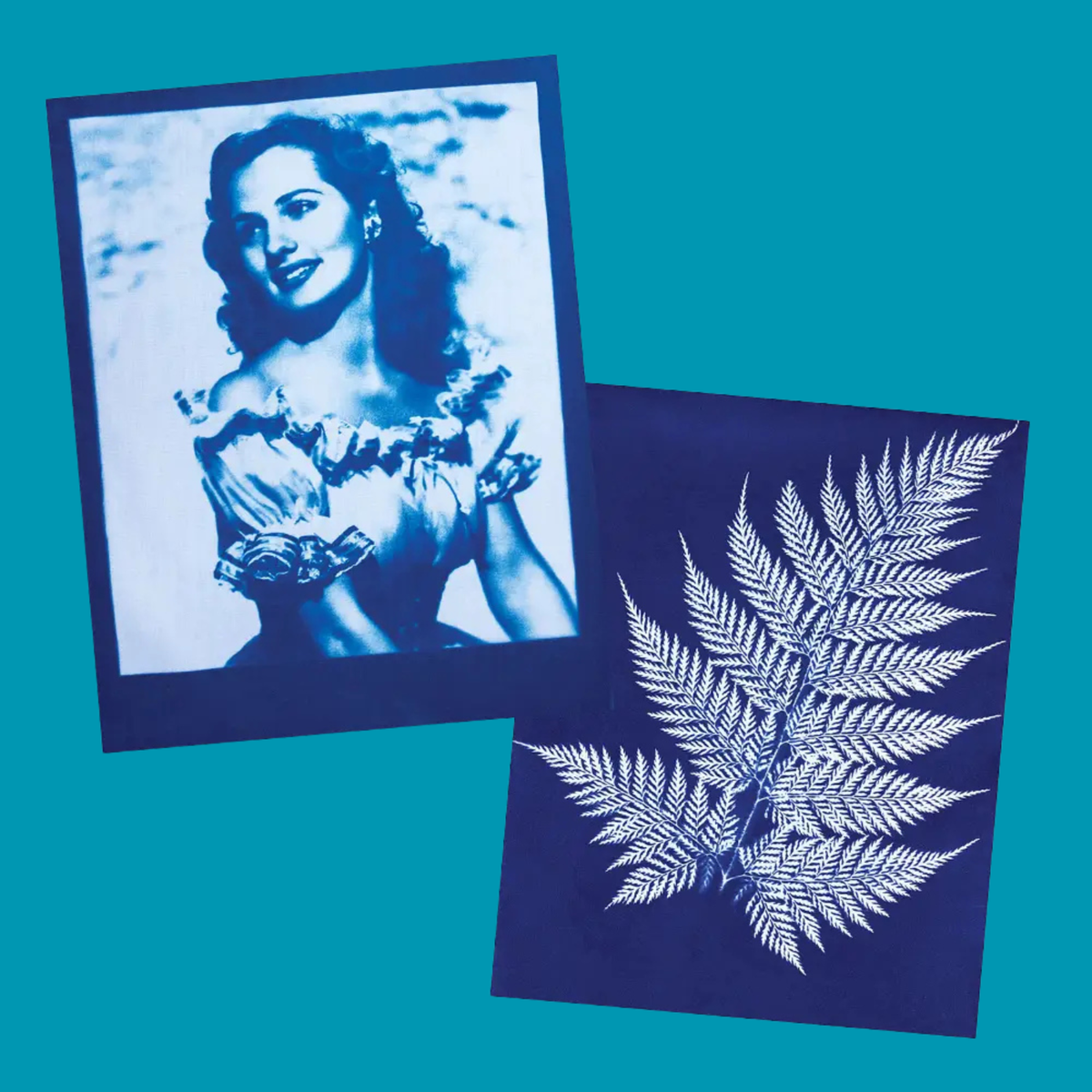 Jacquard Cyanotype Set image 6